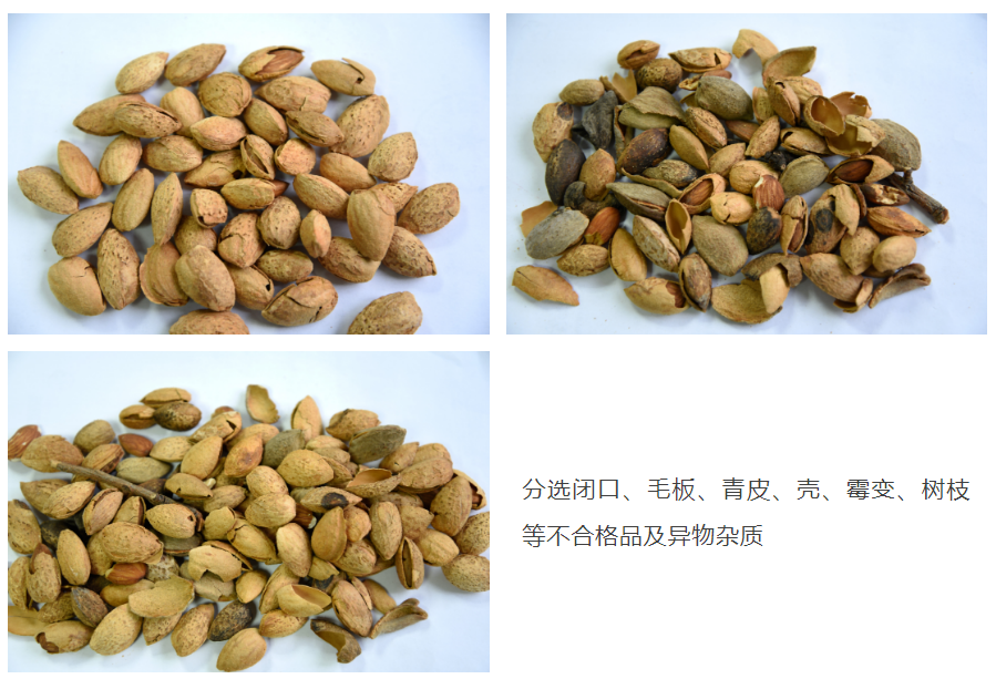 澳港宝典2