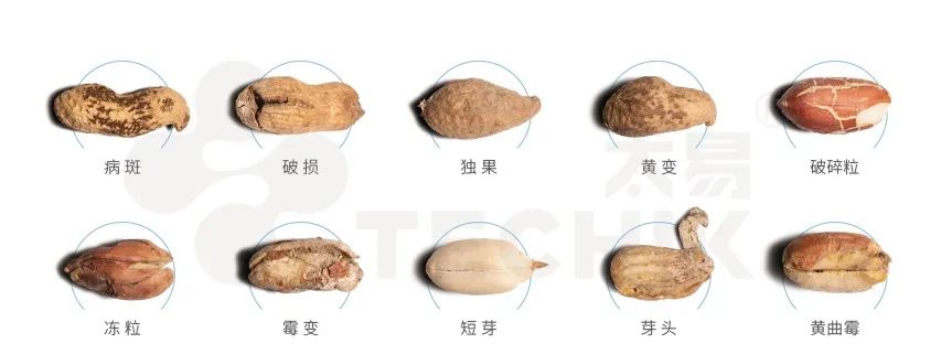澳港宝典2
