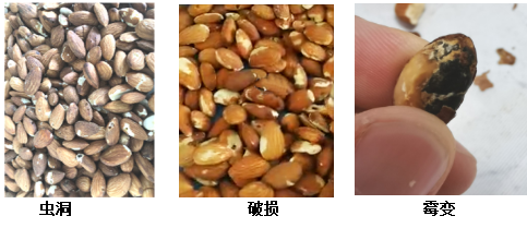 澳港宝典2