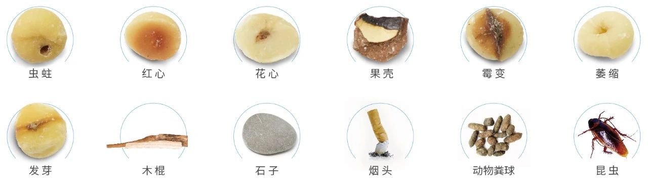 澳港宝典2