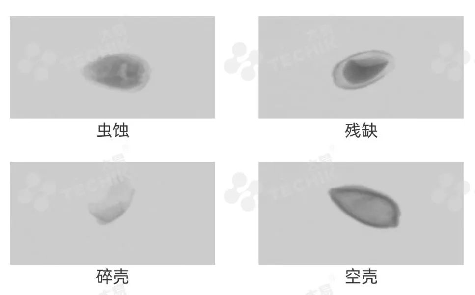 澳港宝典2