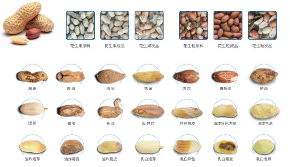 澳港宝典2